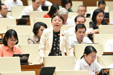 Đại biểu Quốc hội: Thanh tra bị 'trói tay, trói chân' rất nhiều