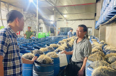 Lạnh người với quy trình sản xuất hàng giá đỗ ngậm hóa chất độc hại