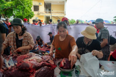 Thịt trâu chọi Đồ Sơn cao kỷ lục 5 triệu đồng/kg, khách vẫn chen mua