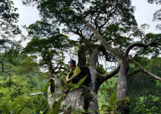 "Báu vật" hơn 500 tuổi ở Phong Nha - Kẻ Bàng sắp mở cửa đón khách