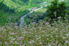 Tháng 11 đi đâu chơi gì?