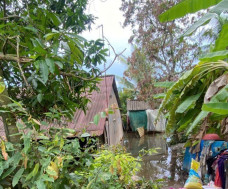 Đồng Tháp: Đau lòng 2 mẹ con chết trong căn nhà ngập nước, nghi bị điện giật