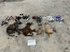 Công an phát hiện chiếc ô tô nghi vấn liền ra hiệu dừng xe, tài xế vẫn tăng ga bỏ chạy