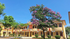 Nam sinh lớp 11 đánh học sinh lớp 9 tử vong