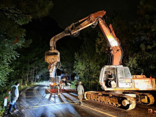 Khách du lịch Đà Lạt 'đứng ngồi không yên'