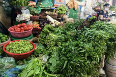 TP.HCM kích hoạt giải pháp khẩn cấp giữ bình ổn giá rau