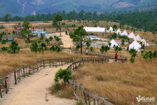 'Đà Lạt thu nhỏ’ ở Quảng Ninh vào mùa đẹp nhất năm, cỏ cháy vàng rực