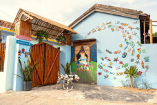 Cả làng du lịch ở Đắk Lắk 'hò nhau' đón khách miễn phí, chở đồ cứu trợ vùng lũ