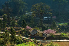 Cao nguyên đá Đồng Văn là 'Điểm đến văn hóa hàng đầu thế giới 2025'