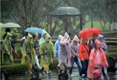 Tin mới về vùng áp thấp trên Biển Đông