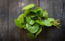 10 tác dụng thần kỳ của "thảo dược trường thọ" mọc trong vườn nhà