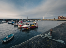 Cách chụp ảnh cực xịn trên iPhone, ít người biết