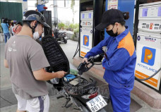 VPI dự báo giá xăng dầu giảm trong kỳ điều hành ngày mai 14/8