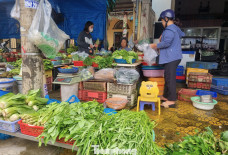 'Mấy hôm nay mua rau đắt hơn cá thịt'