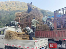 Thứ lỗi thời ở Việt Nam, ở nước ngoài là “mỏ vàng”