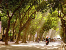 Mùa Thu – Nét đẹp đặc trưng của Hà Nội