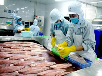 Xuất khẩu cá tra vượt mốc 1 tỷ USD, tăng trưởng mạnh nửa đầu năm