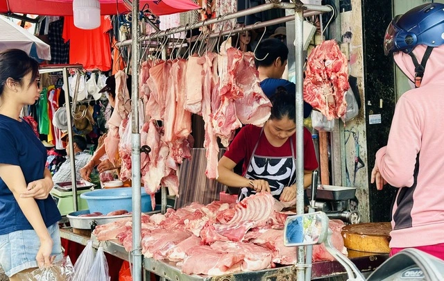 Giá heo hơi hôm nay 18.9.2025: Giảm nhanh nhiều nơi