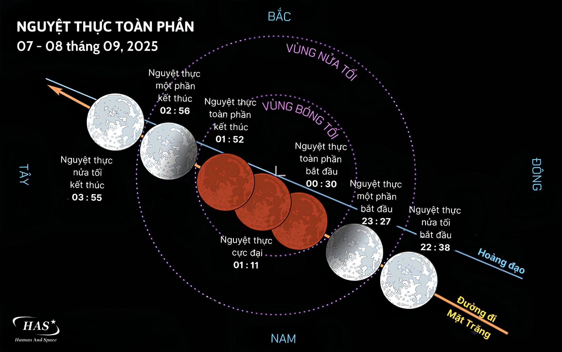 trang-mau-1757292513483